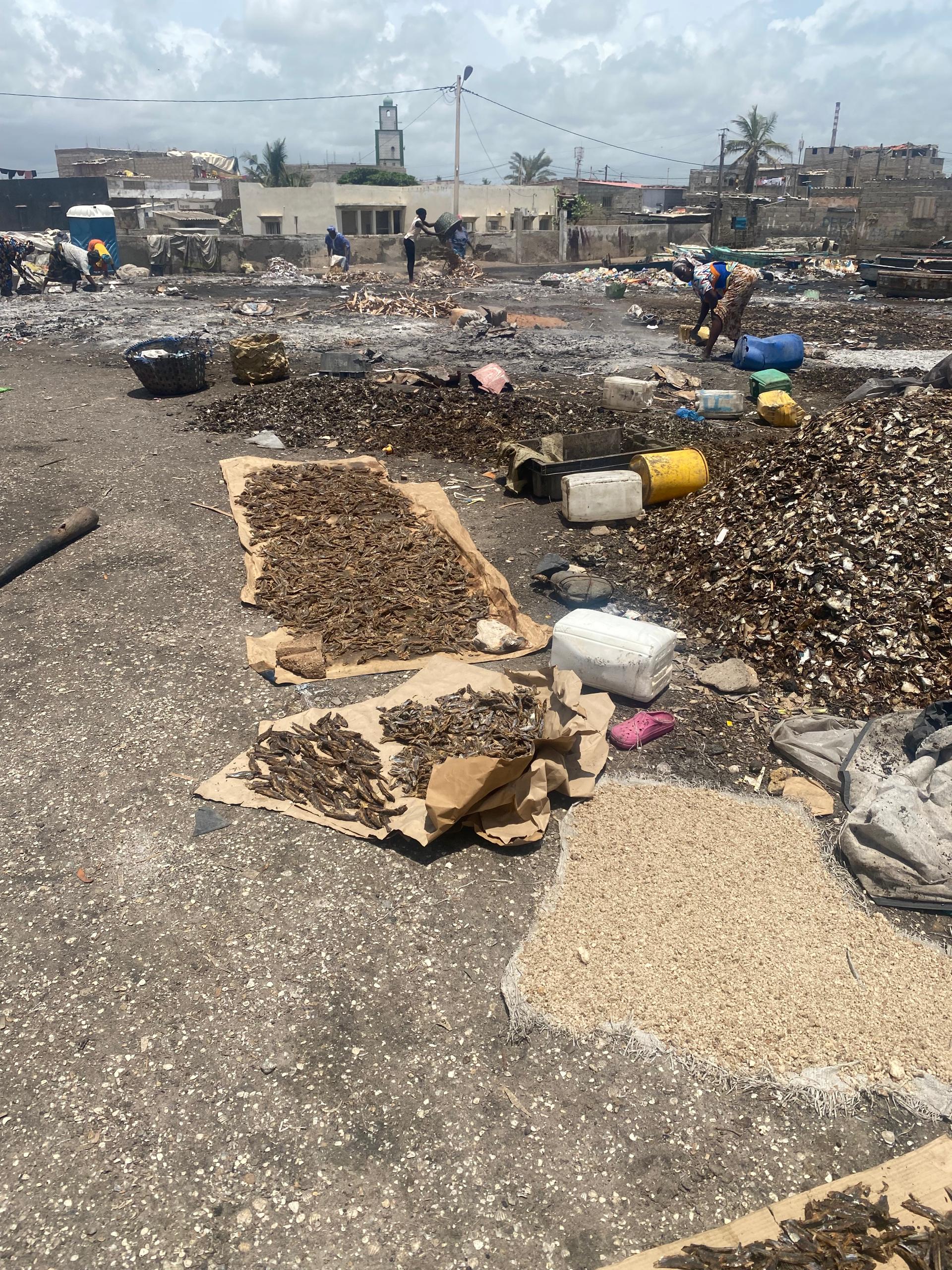 Soutien communautaire